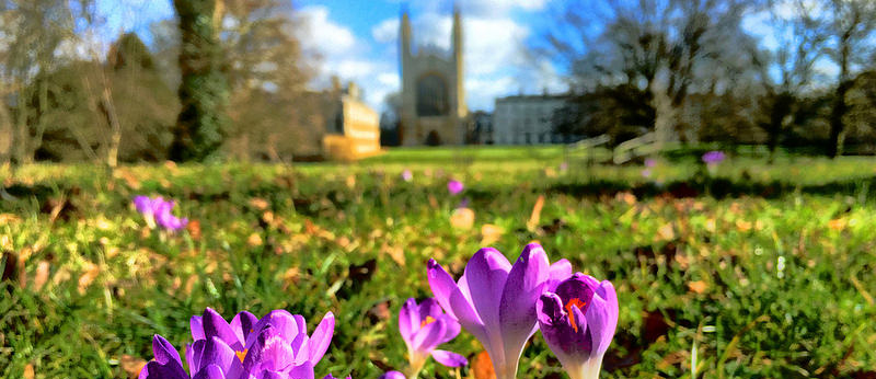 Admissions image 9
