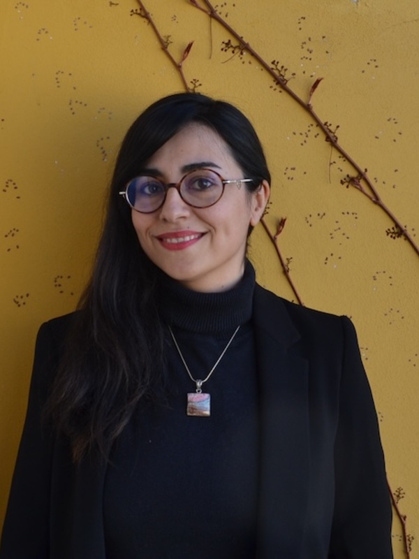 Dr Peyvand Firouzeh