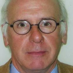 Professor Richard  Marks